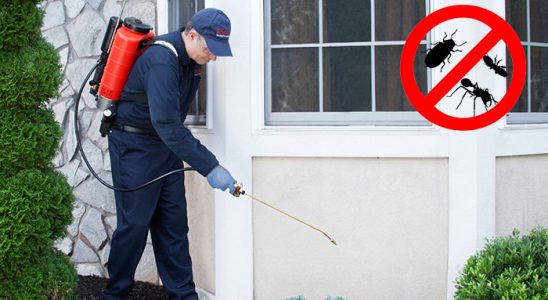 Keşan Kemirgen İlaçlama böcek ilaçlama ve haşere kontrolü — ilaclama-tr.com